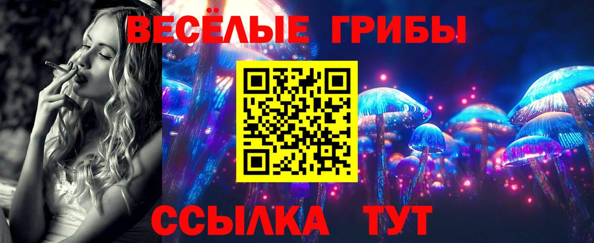Галлюциногенные грибы Cubensis  Галлюциногенные грибы ЛСД  купить закладку  Вход с VPN  Хасавюрт 