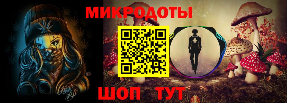 Галлюциногенные грибы Psilocybine cubensis Хасавюрт