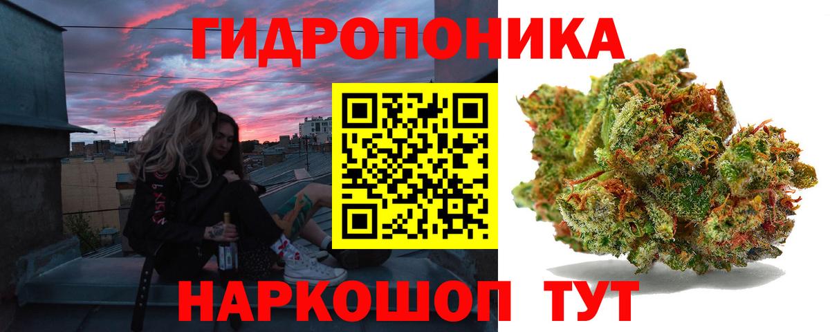 Бошки Шишки индика  Конопля MAZAR  Хасавюрт  Вход с VPN  Бошки марихуана конопля  Канабис сатива 